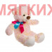 Мягкая игрушка Медведь JX204002510P